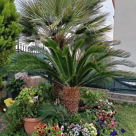 Bed And Breakfast Angolo Fiorito Civitavecchia Εξωτερικό φωτογραφία