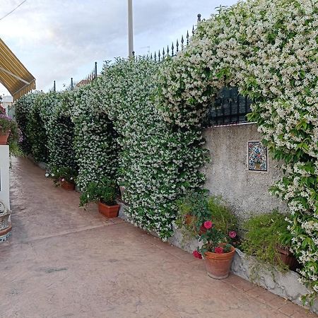 Bed And Breakfast Angolo Fiorito Civitavecchia Εξωτερικό φωτογραφία