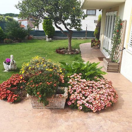 Bed And Breakfast Angolo Fiorito Civitavecchia Εξωτερικό φωτογραφία