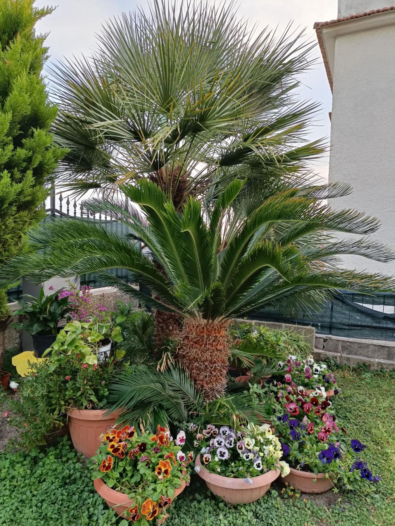 Bed And Breakfast Angolo Fiorito Civitavecchia Εξωτερικό φωτογραφία