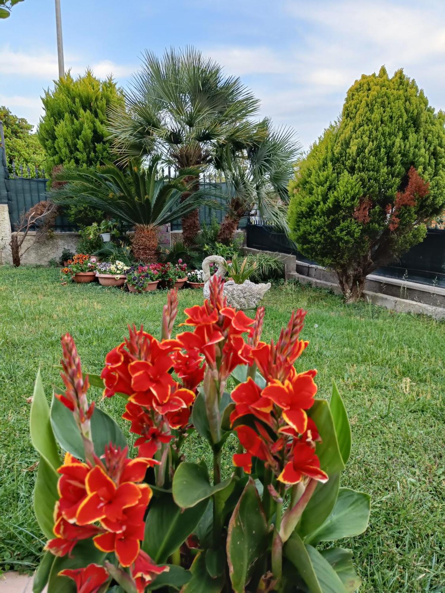 Bed And Breakfast Angolo Fiorito Civitavecchia Εξωτερικό φωτογραφία